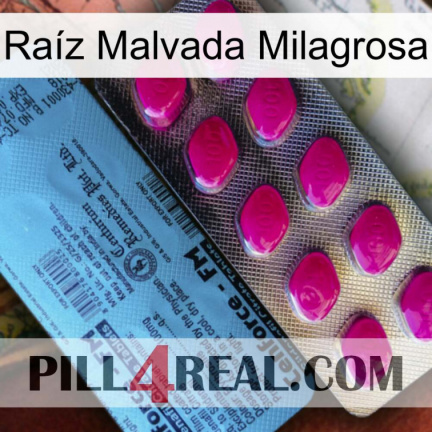 Raíz Malvada Milagrosa 35